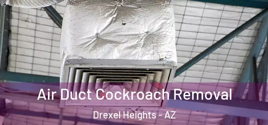 Air Duct Cockroach Removal Drexel Heights - AZ