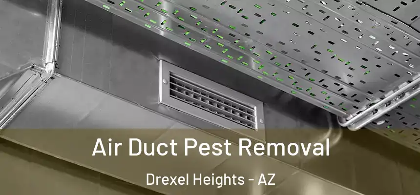 Air Duct Pest Removal Drexel Heights - AZ