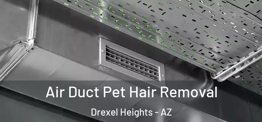  Air Duct Pet Hair Removal Drexel Heights - AZ