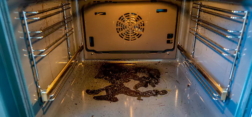 Our Dryer Vent Mold Cleaning Services in Drexel Heights, AZ