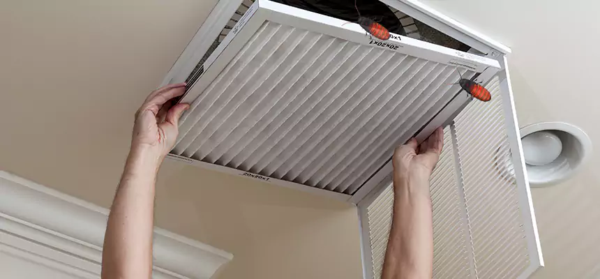 Our Insect Removal from Air Ducts Services in Drexel Heights, AZ