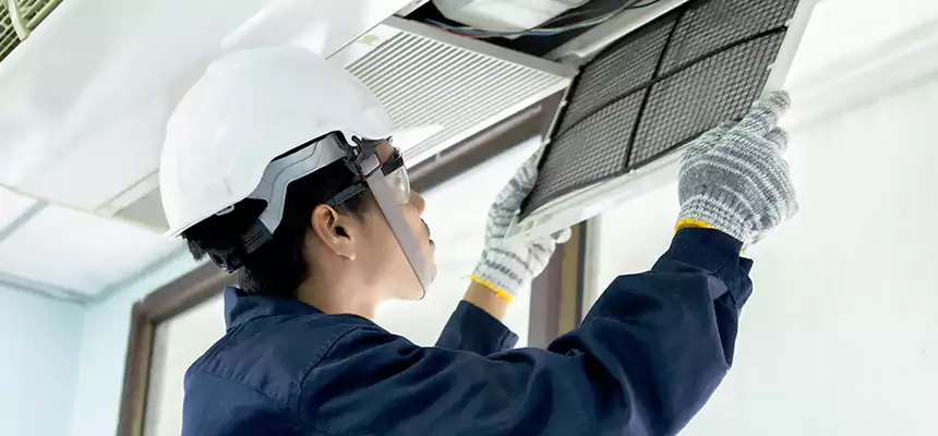 Our Mold & Mildew Removal from Air Ducts Services in Drexel Heights, AZ