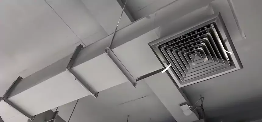 Our Pest Removal From Ducts Services in Drexel Heights, AZ