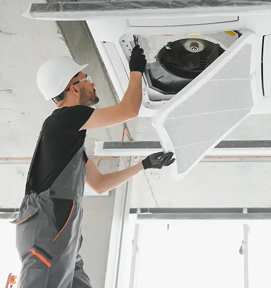 About Air Duct Rodent Removal in Drexel Heights, AZ