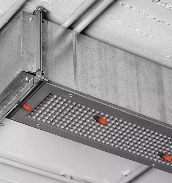 Affordable Insect Removal from Air Ducts in Drexel Heights, AZ