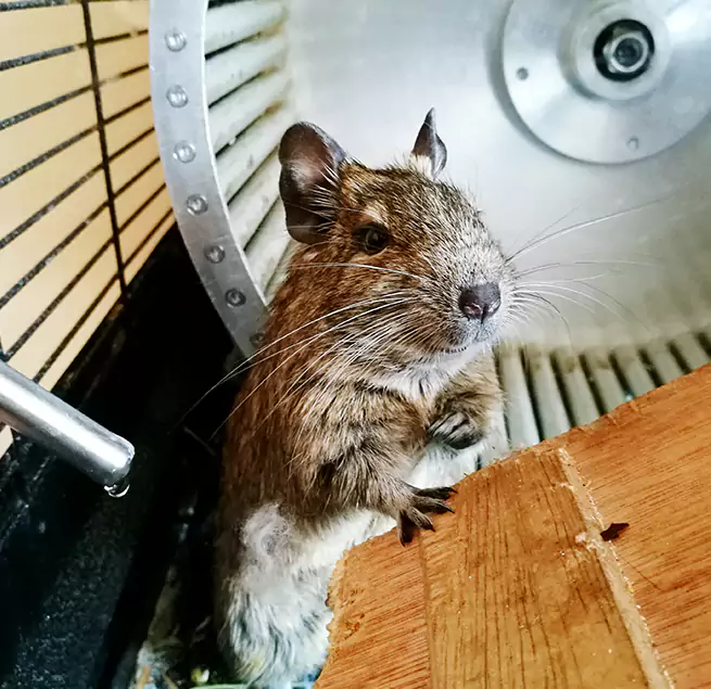 Why Homeowners & Businesses Trust Us Drexel Heights, AZ