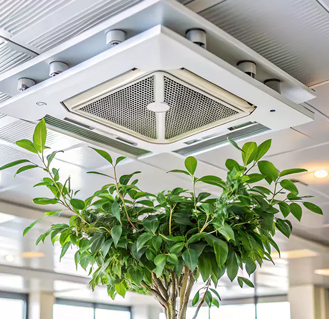 Why Homeowners & Businesses Trust Us in Drexel Heights, AZ?